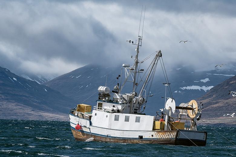 Российские учёные оценят рыбные запасы на Северном Каспии